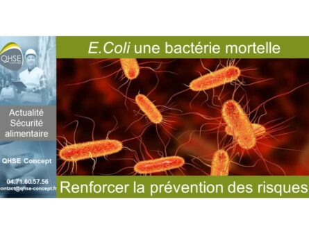 1 - E coli sécurité alimentaire - Valentin