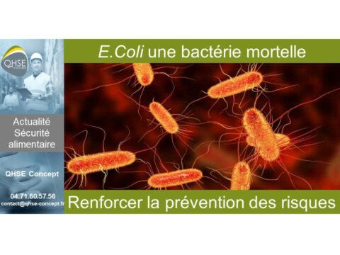 1 - E coli sécurité alimentaire - Valentin
