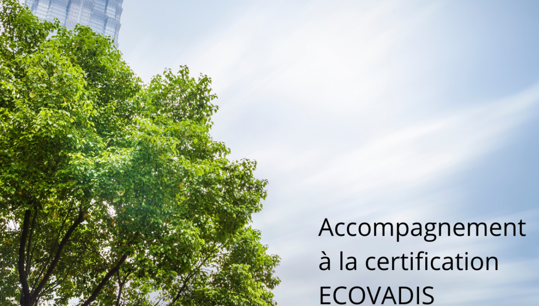 ECOVADIS Clé de la performance durable pour votre entreprise
